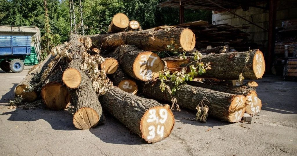 Рівень виконання договорів купівлі-продажу необробленої деревини з поставкою в поточному кварталі становить 70,6%